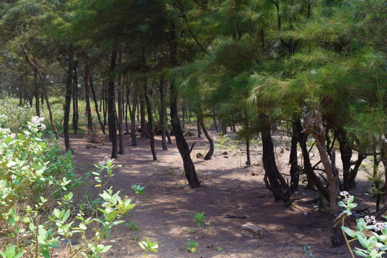 Rama Niwas Beach Home Stay Pawas Екстериор снимка