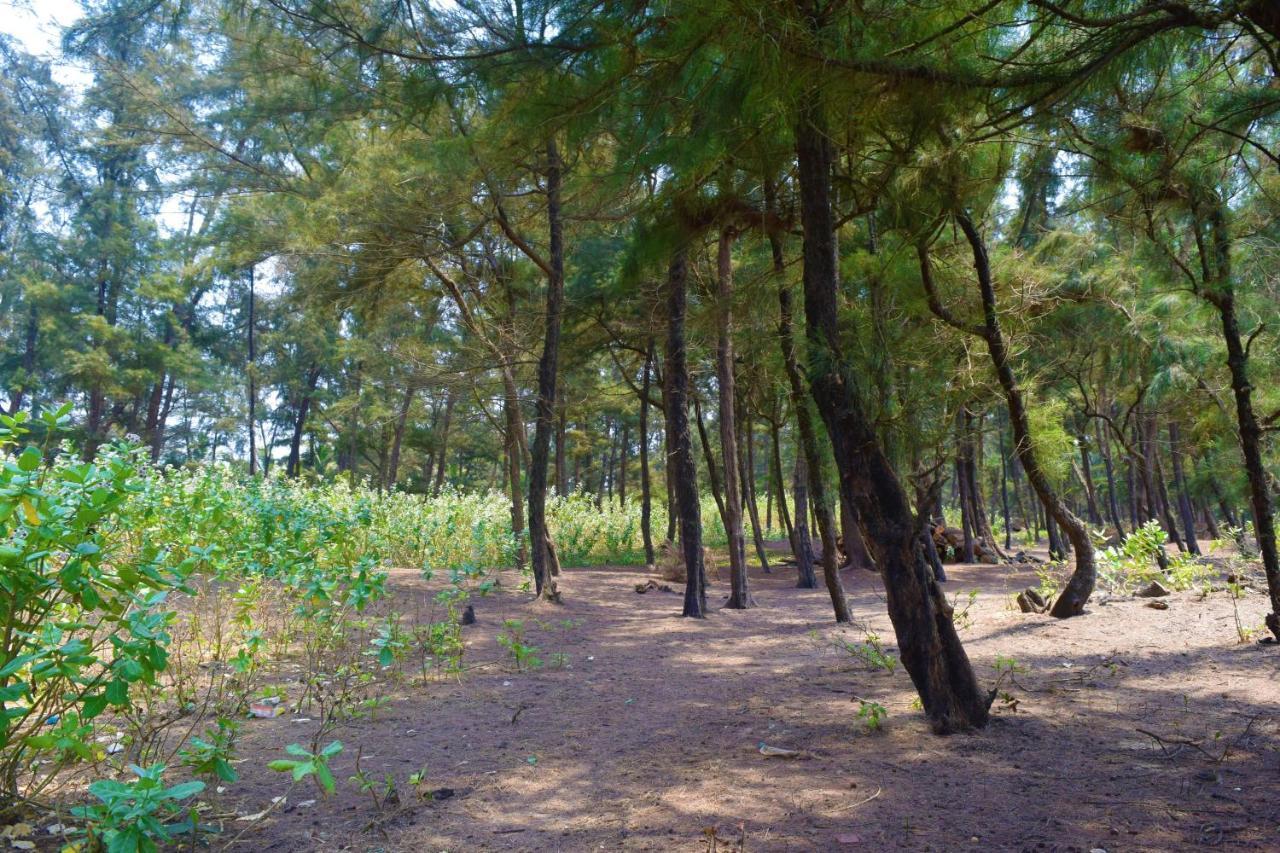 Rama Niwas Beach Home Stay Pawas Екстериор снимка
